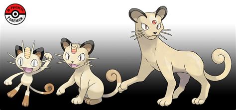 mega meowth|does meowth evolve.
